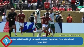 تعادل مثير بدون أهداف بين الأهلي وبالميراس في كأس العالم للأندية 2025 (صور)